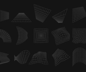 Lattice shapes with warp distortion vector