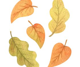 Leaf watercolor clipping drawing vector