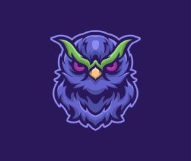 Owl new icon vector