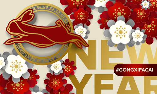 2023 china new year greeting card vector