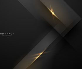 Abstract luxury black background vector