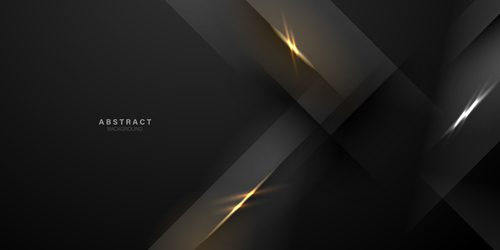 Abstract luxury black background vector