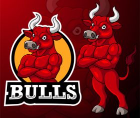 Bulls sport logo design vector