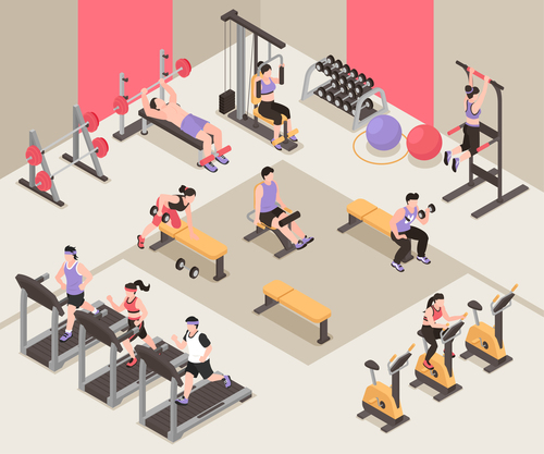 Cartoon gym fitness illustration vector