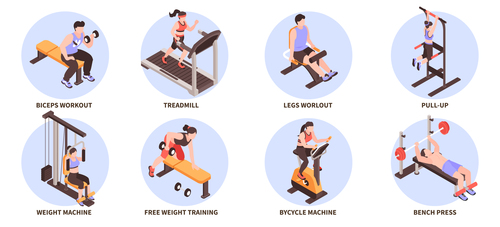 Free weight training vector