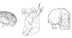Hedgehog koala hippo kangaroo fenek black white hand drawn vector