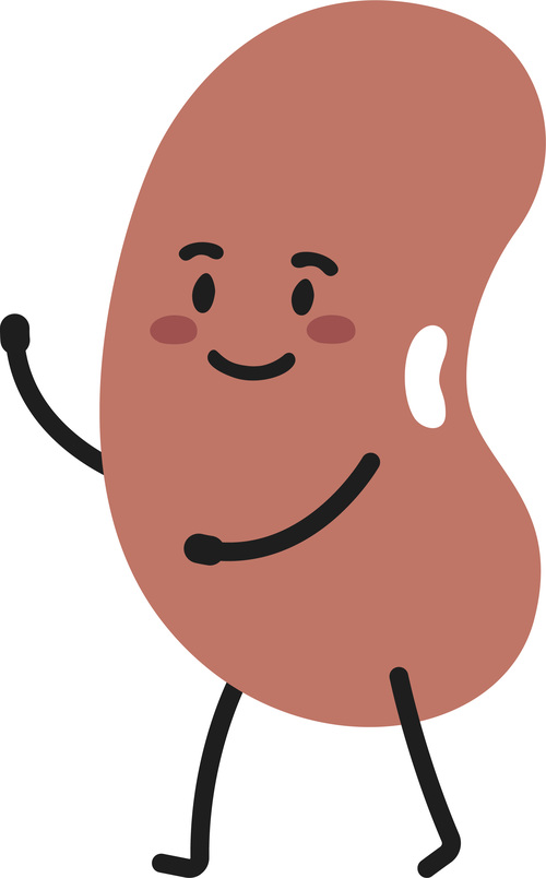 Kidney bean cartoon vector free download