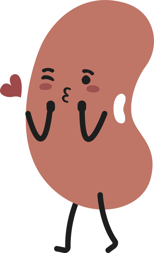 Kidney bean kiss cartoon vector