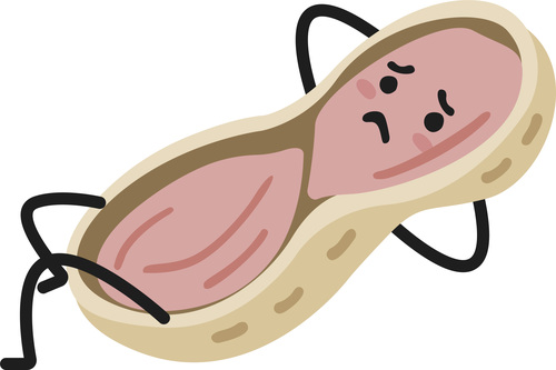 Peanut cartoon vector lying on the ground