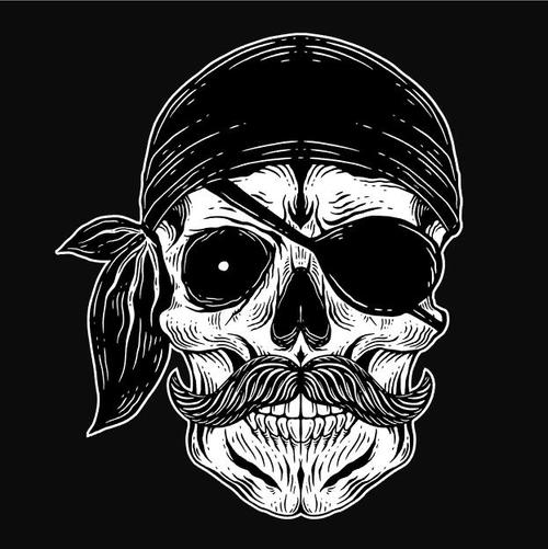 Pirate crew skull vector