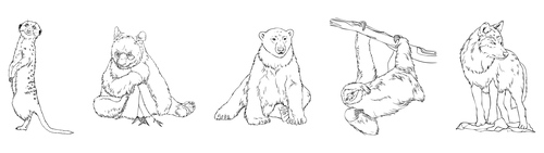 Polar bear wolf meerkat sloth panda black white hand drawn vector