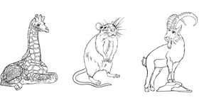 Shark giraffe rat ibex hyena black white hand drawn vector