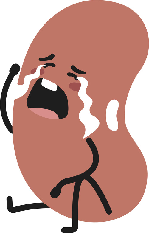 Shed tears kidney bean cartoon vector
