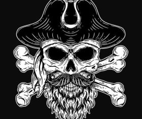 Skull pirates vector