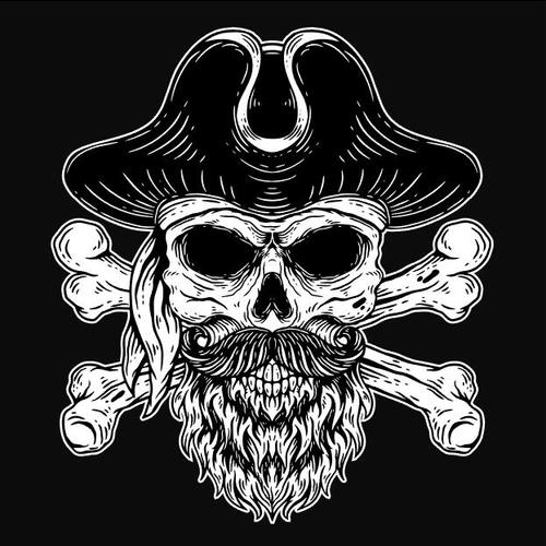 Skull pirates vector