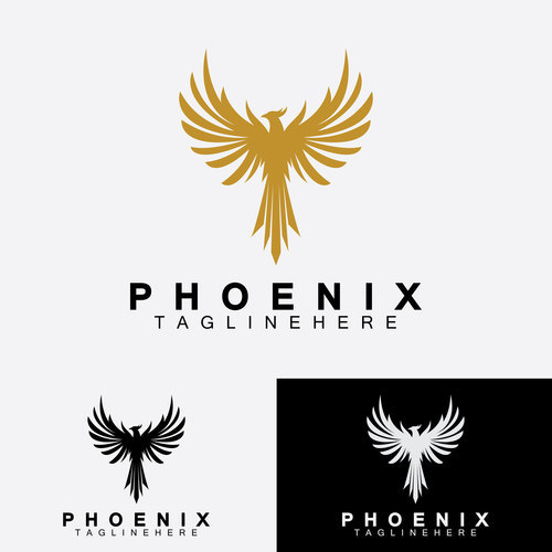 Three color phoenix business logo design vector