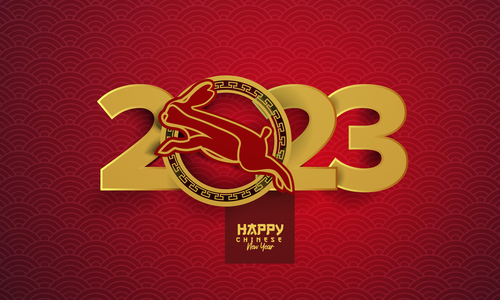Year of the rabbit 2023 greeting card vector