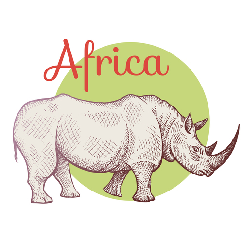 African animal rhinoceros vector