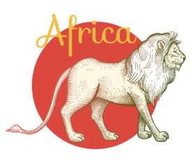 African lion animal vector