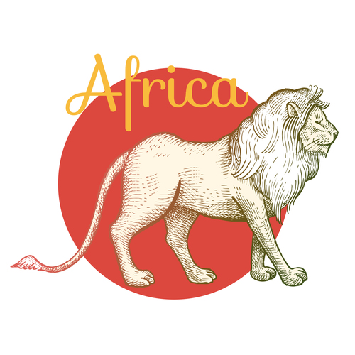African lion animal vector