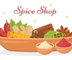 Chili ginger cinnamon various spice vector