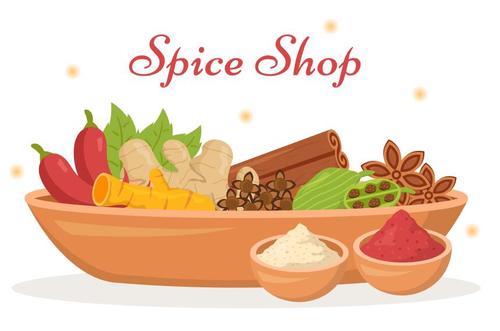 Chili ginger cinnamon various spice vector