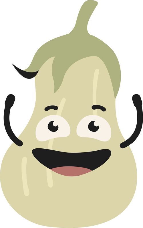 Excited eggplant expression vector