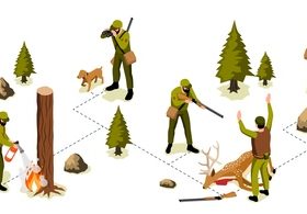 Forester forest ranger infographics vector