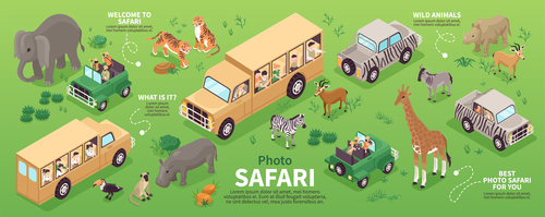 Isometric photo safari infographics vector