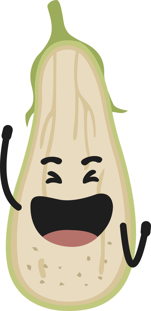 Laughing eggplant expression vector