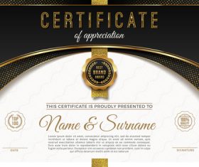 Luxury golden elements certificate templates vector