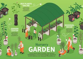 Nursery garden infographics vector