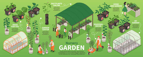 Nursery garden infographics vector