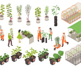 Plants greenhouse isolated vector illustration