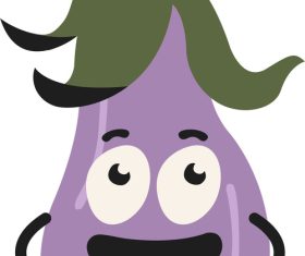 Smile eggplant expression vector