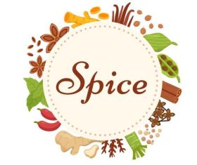 Spice vector