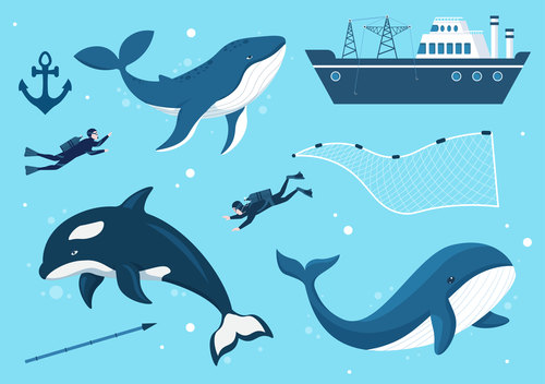 Whaling ship and shark vector