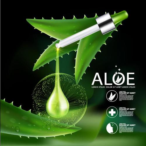 Aloe vera essence cosmetics advertisement vector