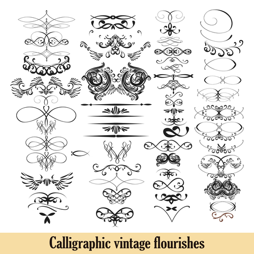 Calligraphic vintage flourishes vector