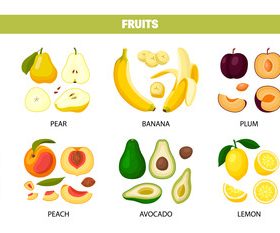 Fruits sliced set vector