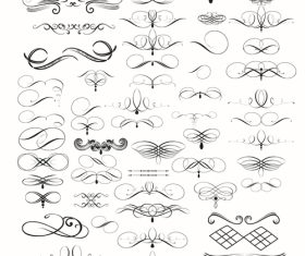 Ornaments collection vector