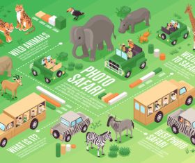 Wild animals travel vehicles vector illustration