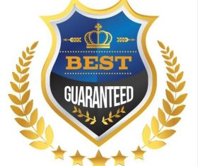 Best guaranteed badges vector