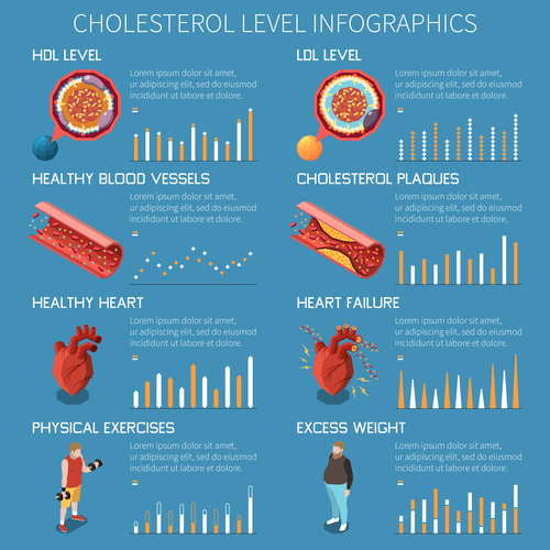Cholesterol level infographics illustrations vector
