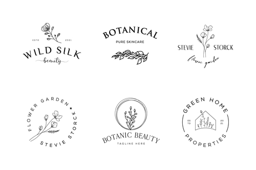 Concept beauty logo vector