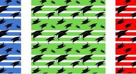 Graduation seamless pattern vector