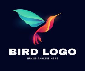Hummingbird logo vector