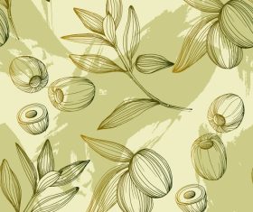 Olive fruit and leaves vector