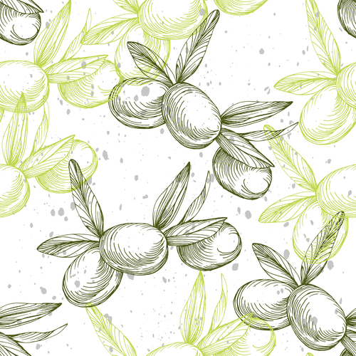 Olive watercolor painting vector