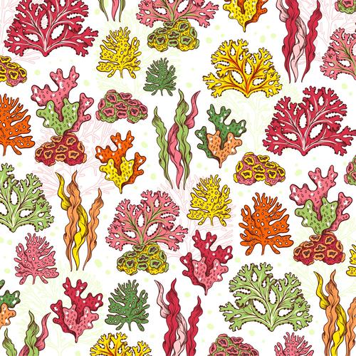 Sea plants seamless background pattern vector